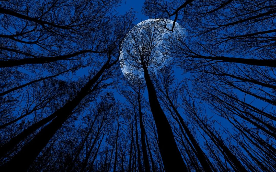 The Blue Moon Affirmation: New Ways of Seeing